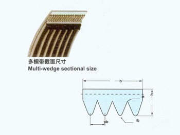 多楔带